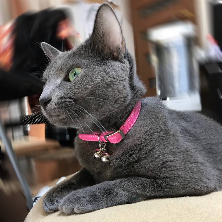 8823cc13 1db1 4a6a a565 29818d41cfbf 1516372818282