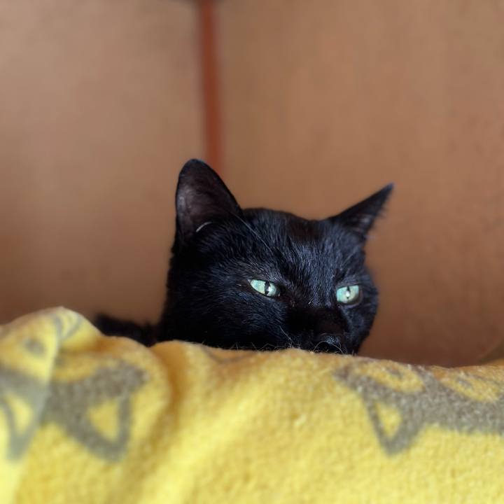 88240ec3 0596 4ae4 8782 4981dd948186 1701998096913