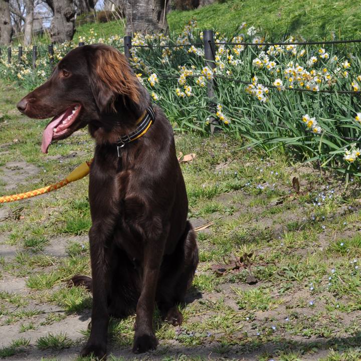 88243245 cf53 4f9f 97d2 8221cb4914bc 1583400068218