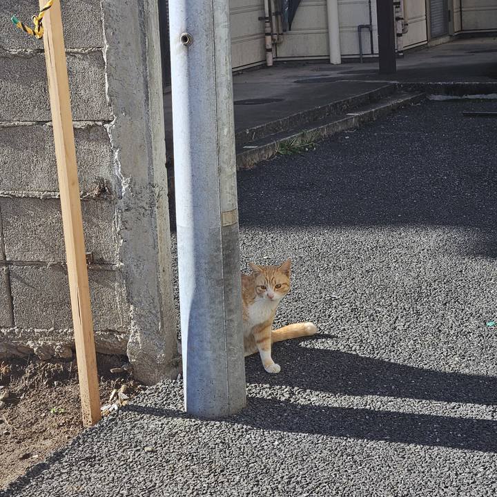 88243d34 bde8 4e76 b883 757b7624f9fe 1710975675951