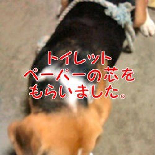 88246216 1ea5 468b a250 331f8313d670 1690502734783