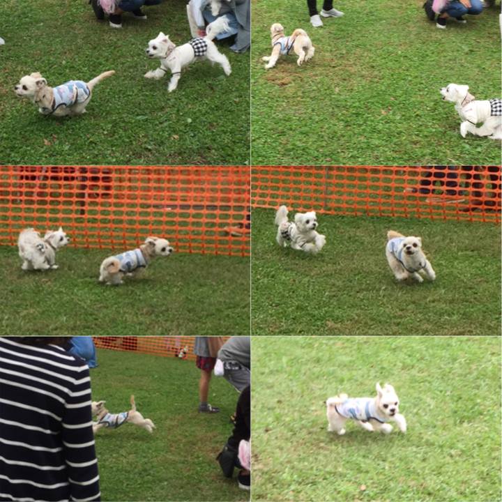 8824763b 00d6 4cef bb72 99bef401eb92 1539555065440