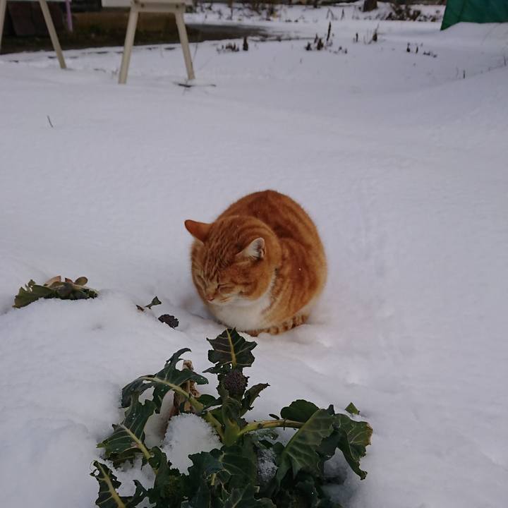 88247cfd 986f 41ae be80 1b0cb388063d 1581387177399