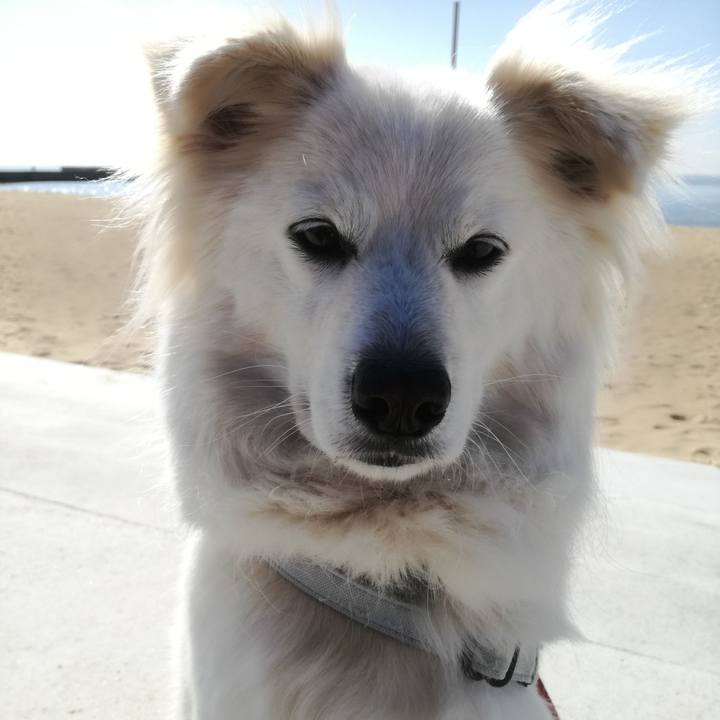 8824ba4b 69f2 44c5 a22c f11d67f56ce1 1521853341943