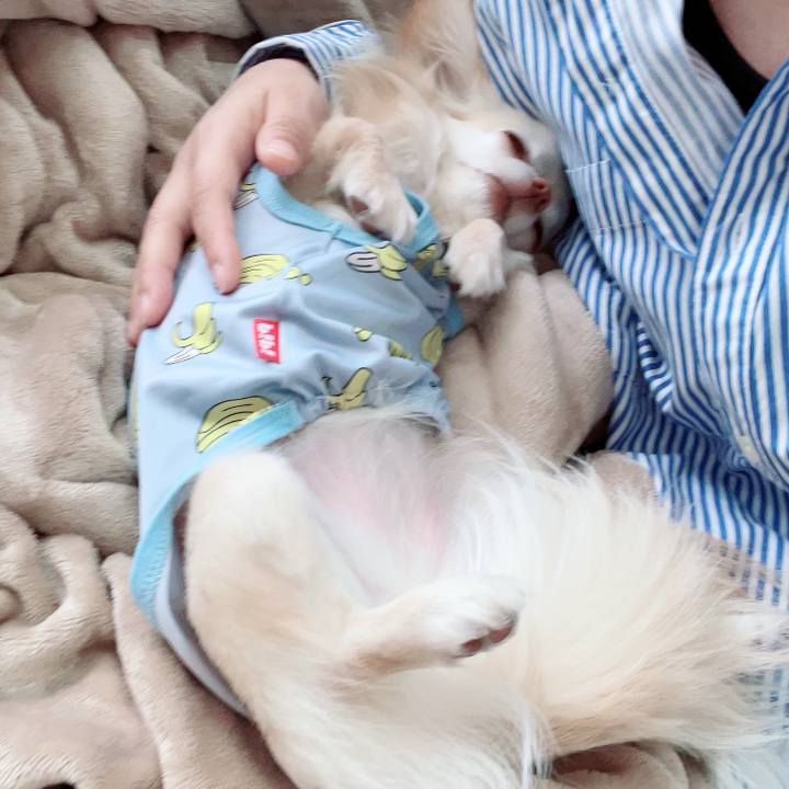 8824d918 be7f 4227 b016 9278cf8ba089 1714973295396