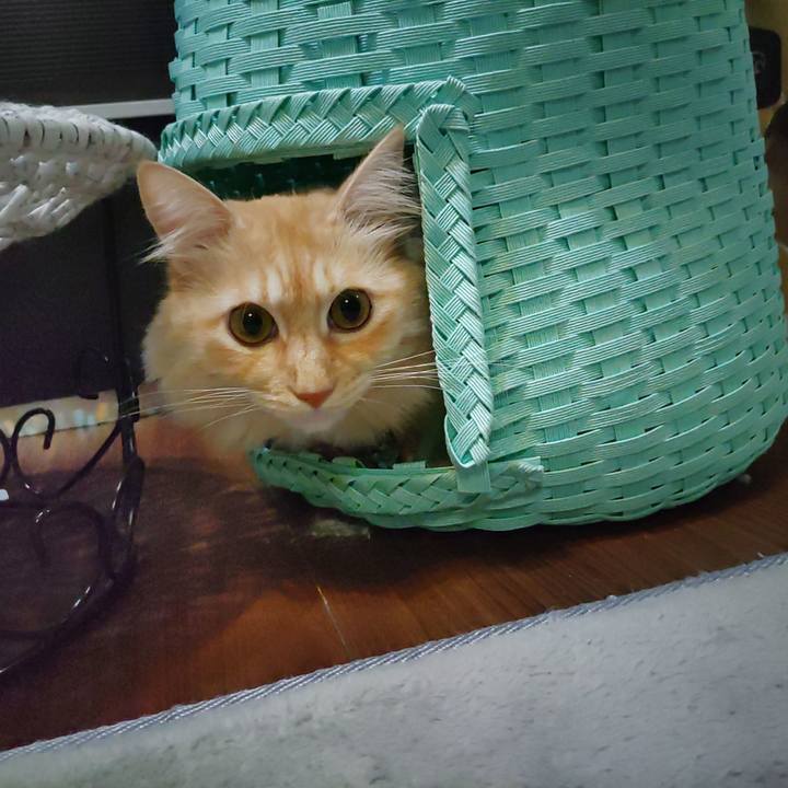 8824fa88 acd0 471f a54b 47bc9976abb9 1698876192354