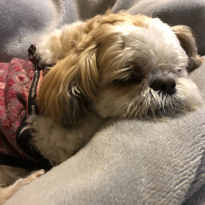 88254c4e 8a0e 47a3 857c 2af8c19b6483 1613944183388