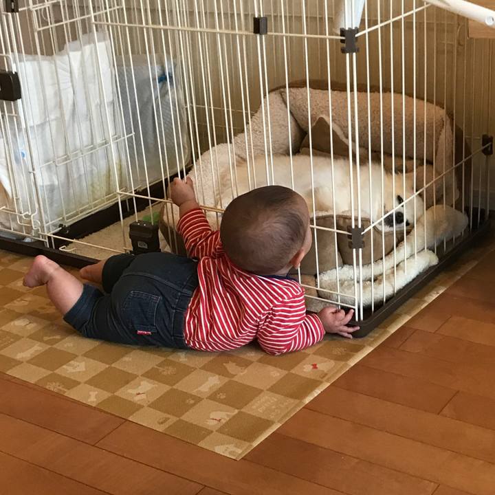 88255011 2463 4d4e 95c3 4598b67f9e89 1524639049563