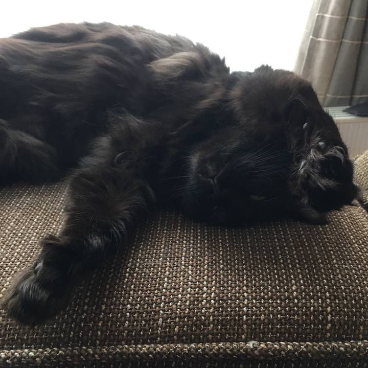 88257bd6 67d4 4597 b202 56f184dbb221 1519895305436