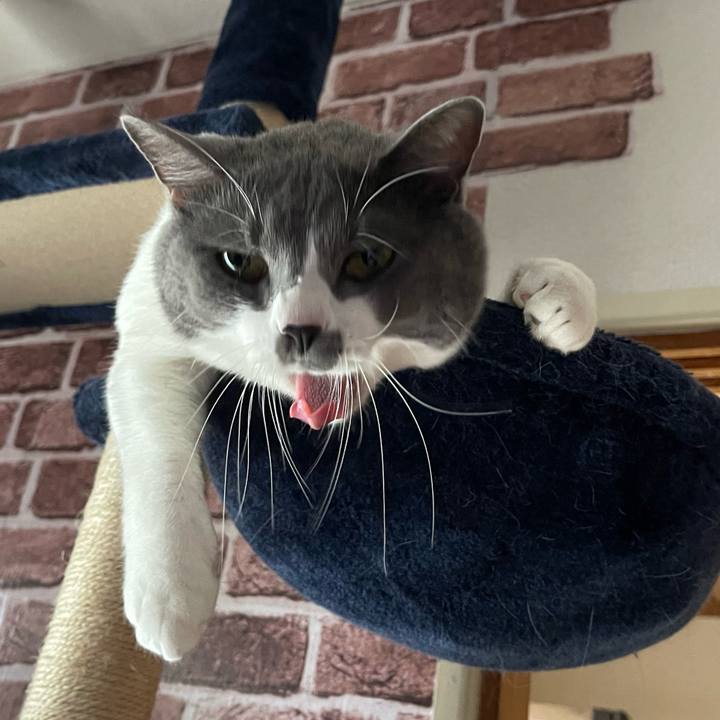 8825a030 0697 4348 92b7 4b4497571946 1663573088692