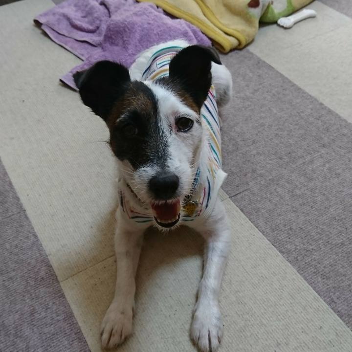 8825e342 c1cb 4228 8e11 5c0bd5e3f703 1566606712420