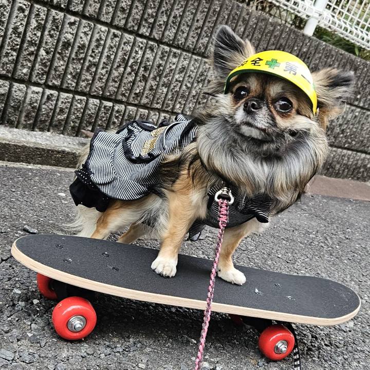 88261f05 2e8f 47fa 9896 b554bac0a596 1765362750065