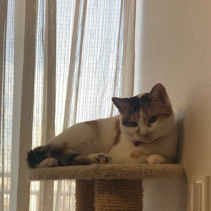 88262827 1d25 4caf 995d 9008b545585e 1578268087199