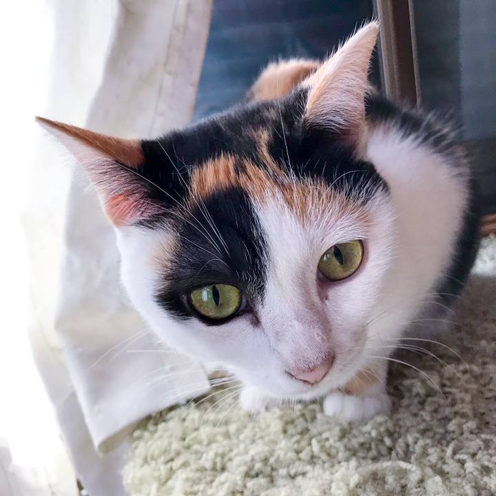 882648ed ffc9 47d1 a165 0988988091fc 1509328947095