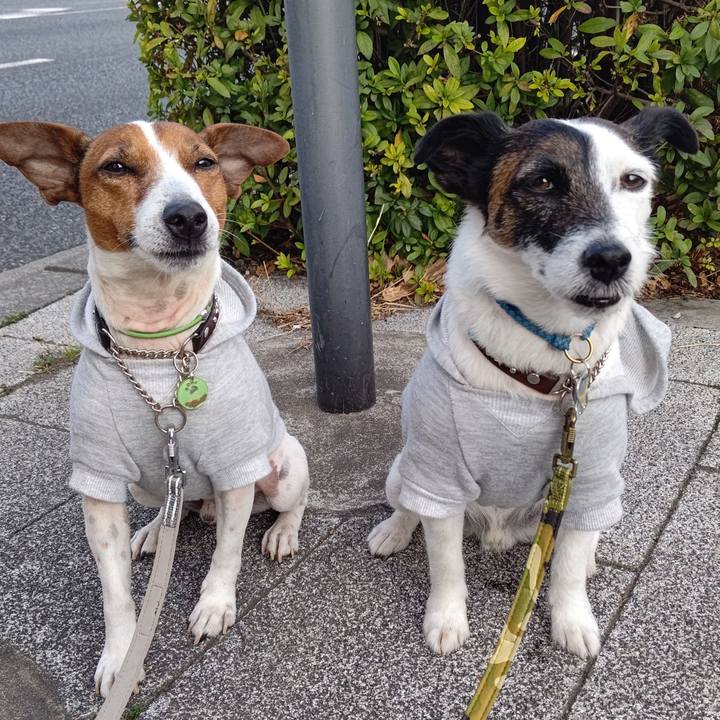 8826837c ec06 4f30 bec5 9cd842938f26 1678402761483