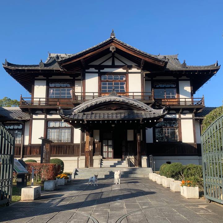 8826933e fcef 440b 9fd6 733b1d9a5d4a 1543106471338