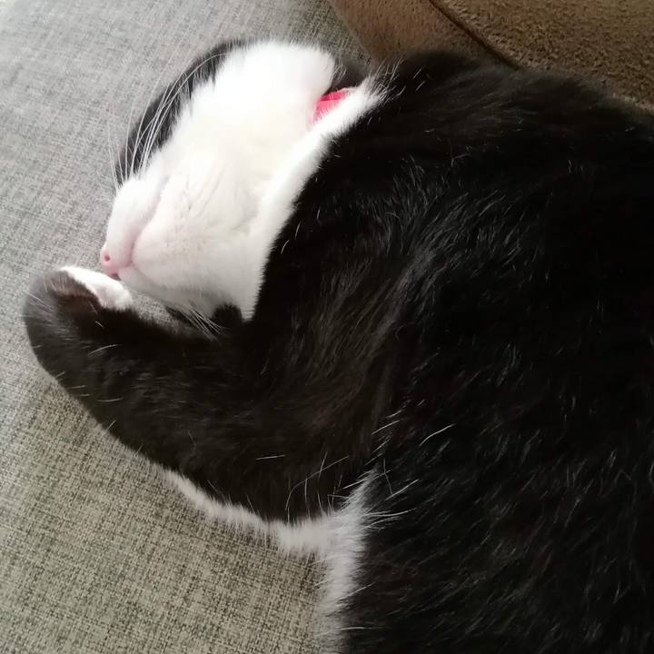 8826b553 5ce4 4f64 8a30 7d6249989f18 1564927605423