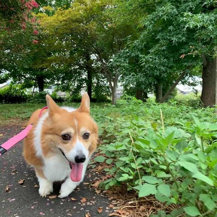 8826e97a b27f 440c 9704 23c249571548 1724631939868