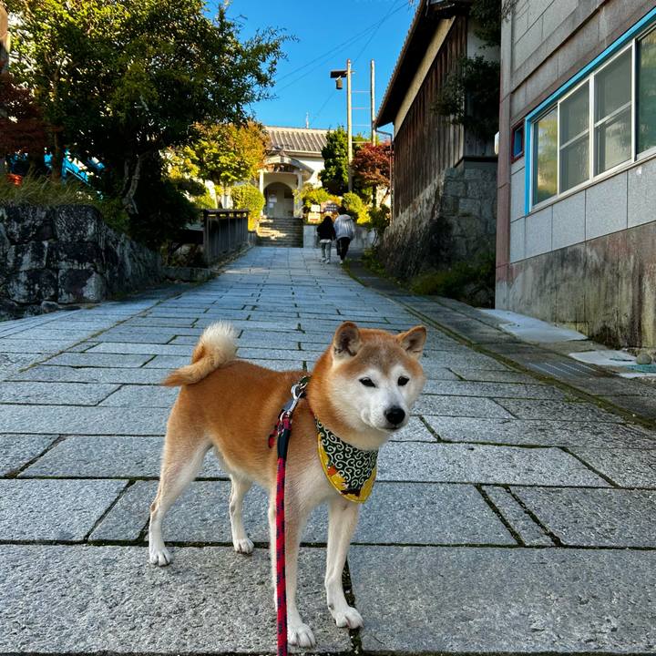 8826eea7 e566 4173 8219 4fba668e26df 1762256540763