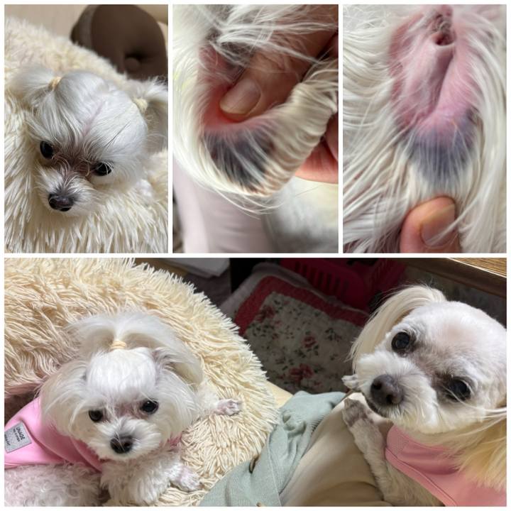 8826ffb2 f363 412b b5b1 8151a8a67b1e 1760958269578