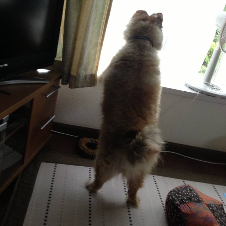 88272b7a 25de 4100 901a e9fddbf860fc 1548374600645