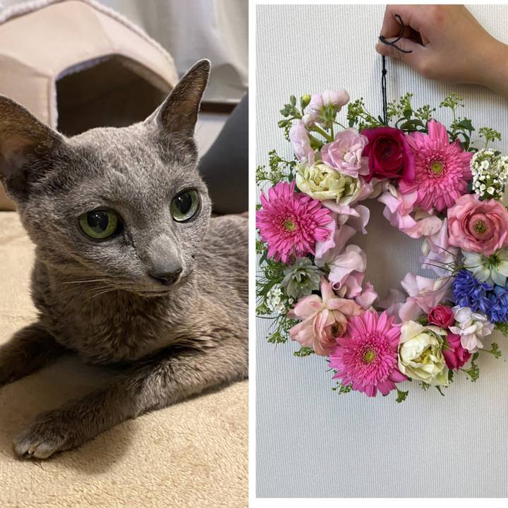 88275cab b675 4769 9a03 3a8a800a8d42 1645859642039