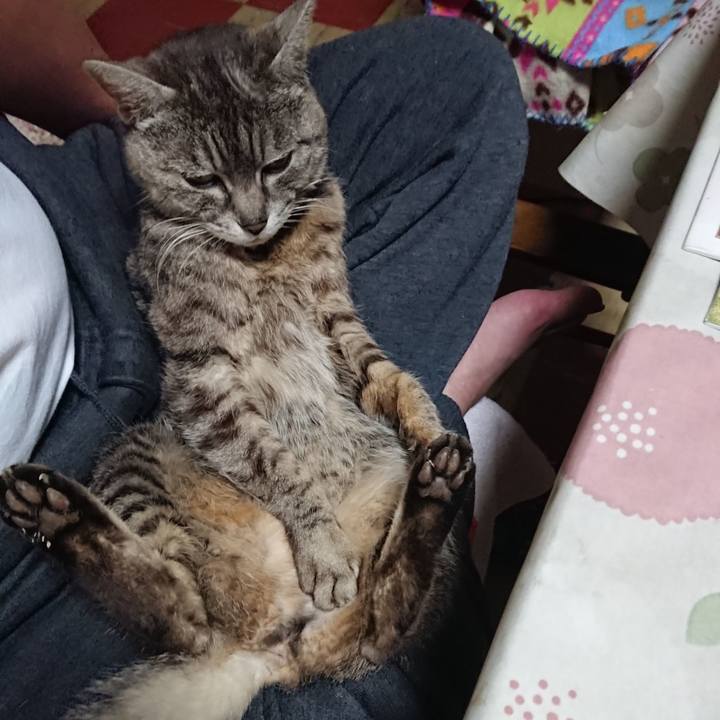 882769c0 0fd3 43ff 8351 57b9cb22affd 1558091494168