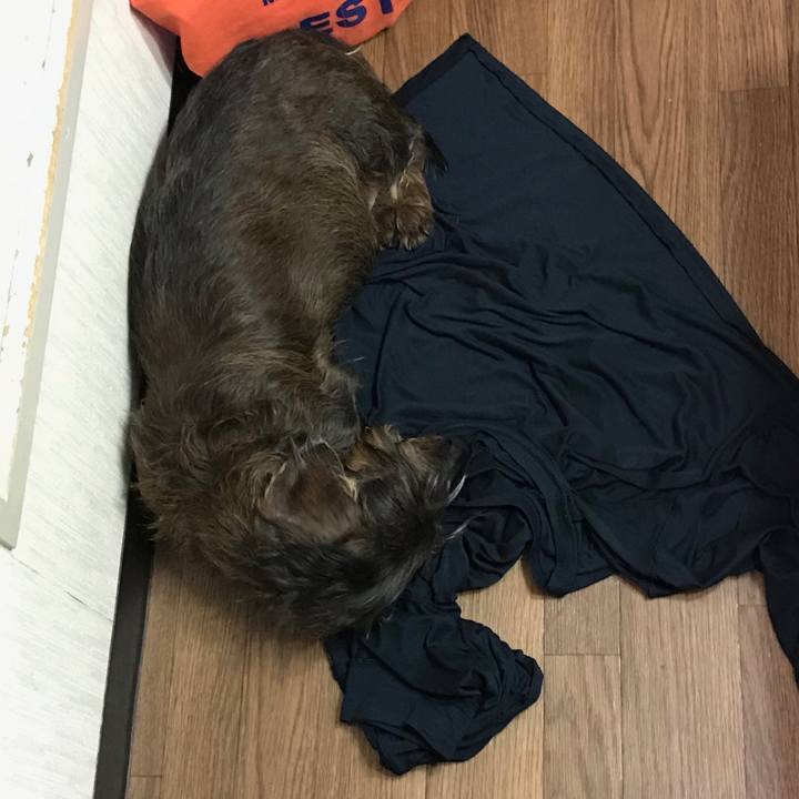 88276df2 f5cf 471f a4bf d5914376b10d 1555768461238