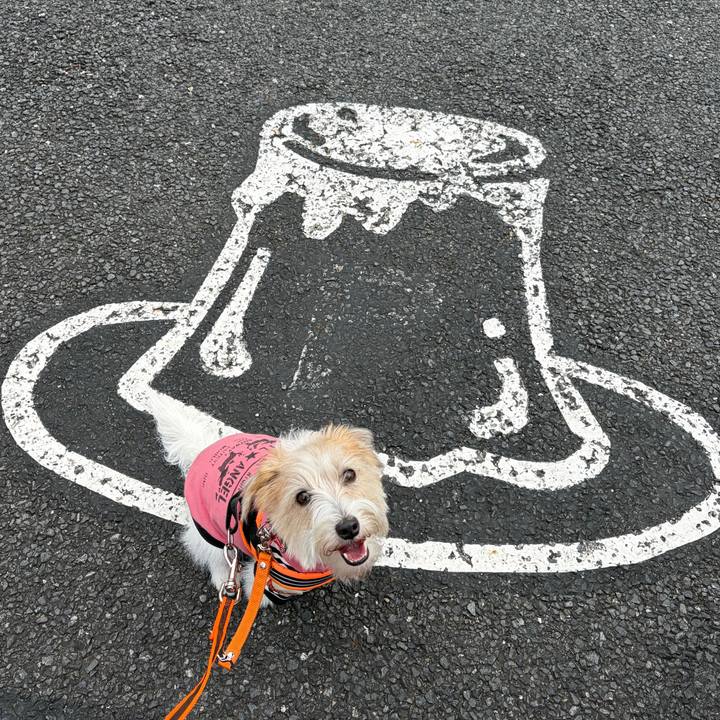 882793ab d809 4b00 9283 eac389f13eff 1771753477329