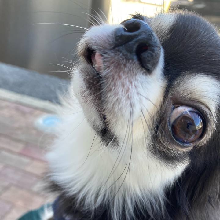 88279b5a 7812 4600 80b4 e644063e6c8c 1693455896659