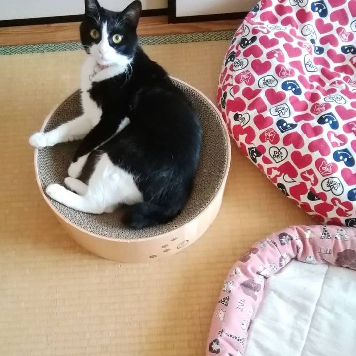 8827abed 180a 46cf a896 74a9d0dc6e2c 1597928863223