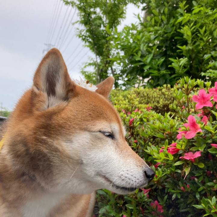 8827b7d2 132d 4210 9a39 d9e3fb5d2e53 1652503619428