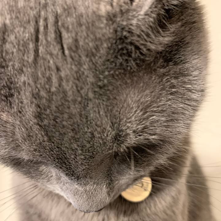 8827d402 f00b 4608 815b a21ea5824c0e 1612312295542