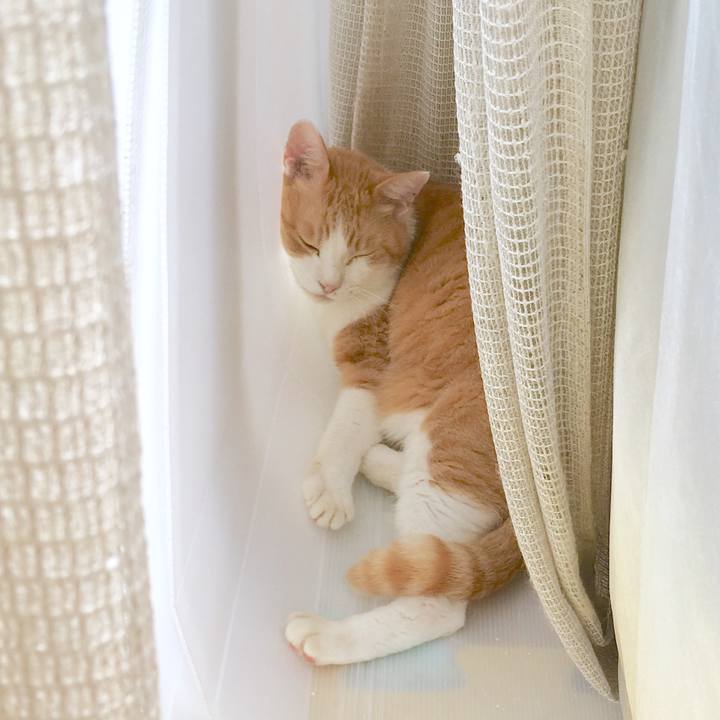 88282163 38bc 45bb 883b e5cf095656c6 1567671435703