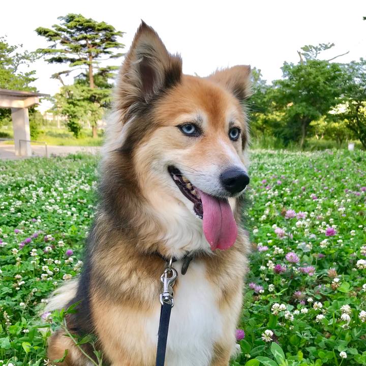 88282619 17c5 4305 bee6 84893e0812af 1527410675329