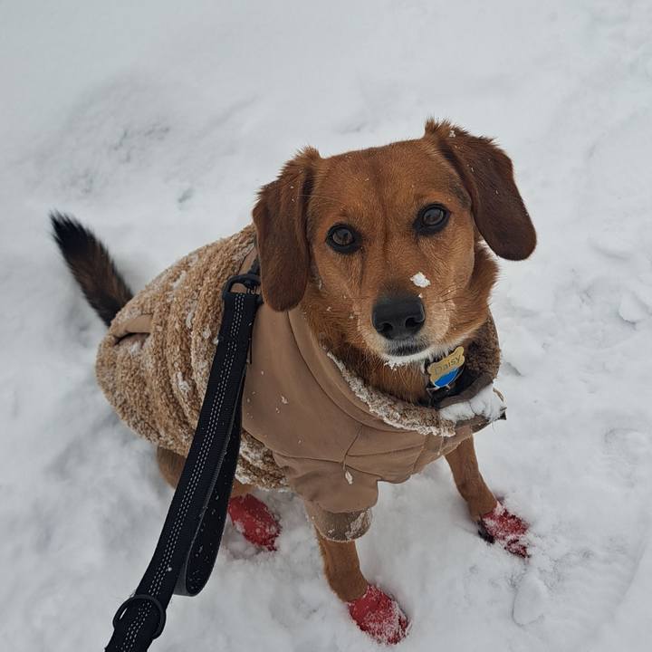 8828266b cec4 41ec 8e51 77329d50897d 1771781011022