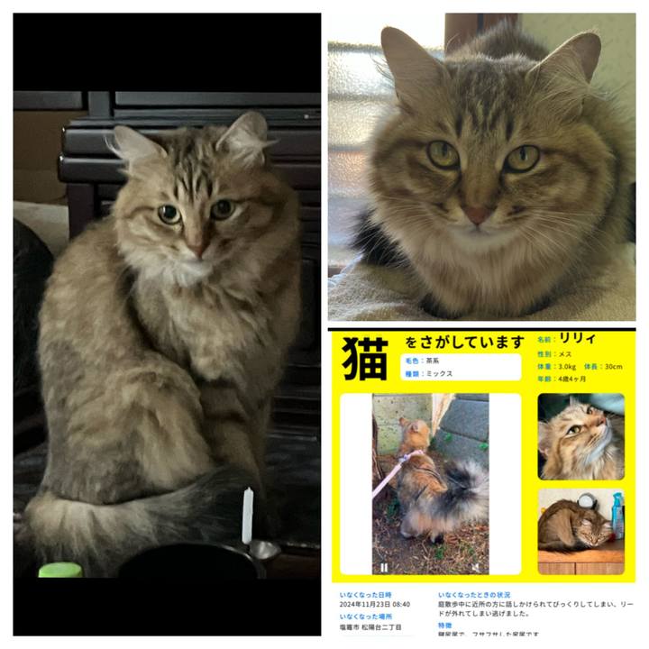 88282b02 ccee 426d bdbe b20f4bb91518 1732490846989