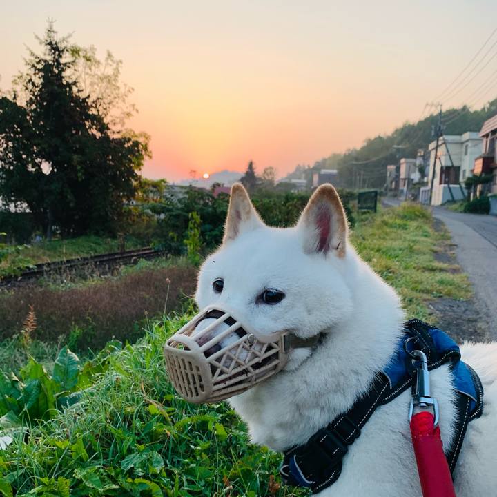 88288138 8f05 4051 91de bdb35e61d960 1664485637296