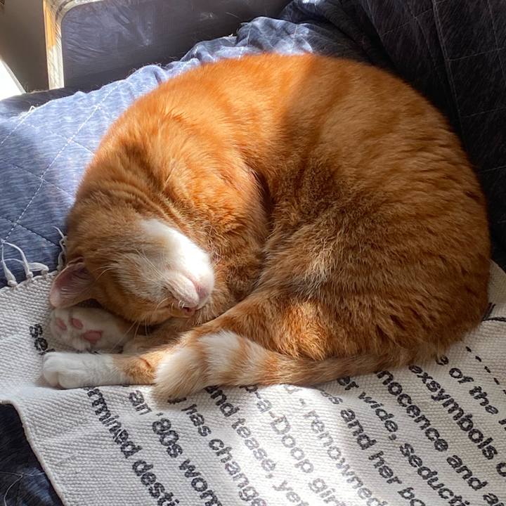 882882ab 3b40 4d40 b76c 4d5588489fdd 1695516336061