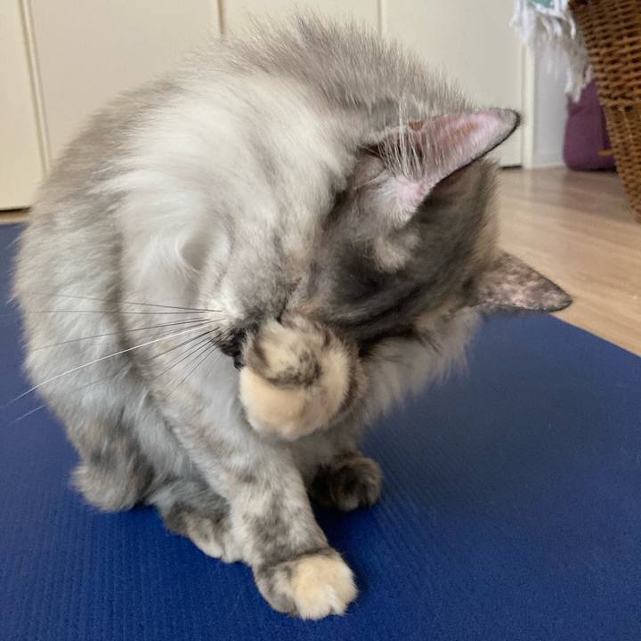 88289b4c 38c7 4f76 816d cda0613a0393 1731204690246