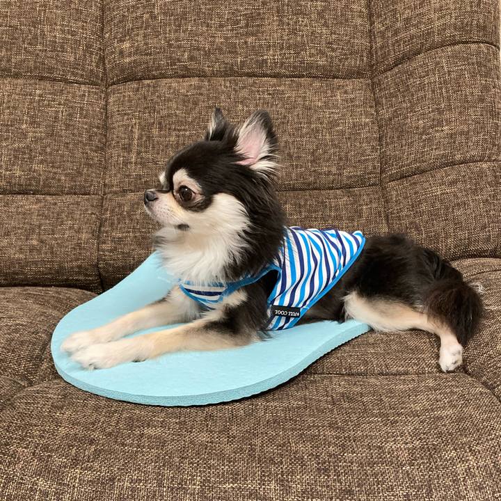 8828a0ff 81e9 469d ad9e 1da6863340df 1695566840199