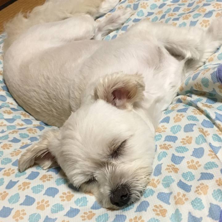 88292b9e 8419 434d 991a 1fb06e002604 1530189091749