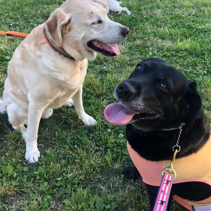 88294537 e8b7 47dd 9cb5 92c3844a4e1e 1558689009986