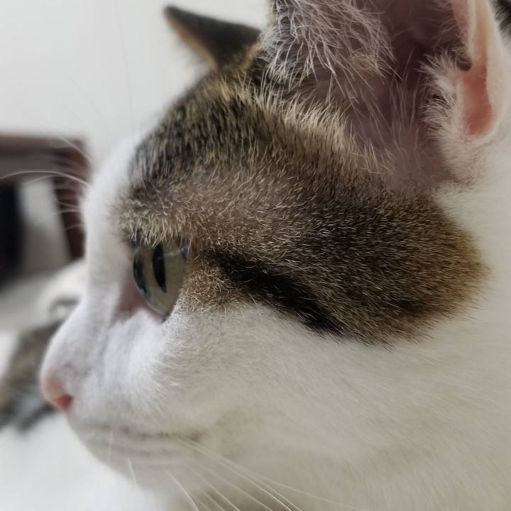 88299bfc 605e 4f83 aca3 67f459b41445 1554418224086