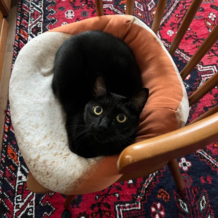 8829a179 e03e 404f 9547 7286cab6c6ac 1697087305960