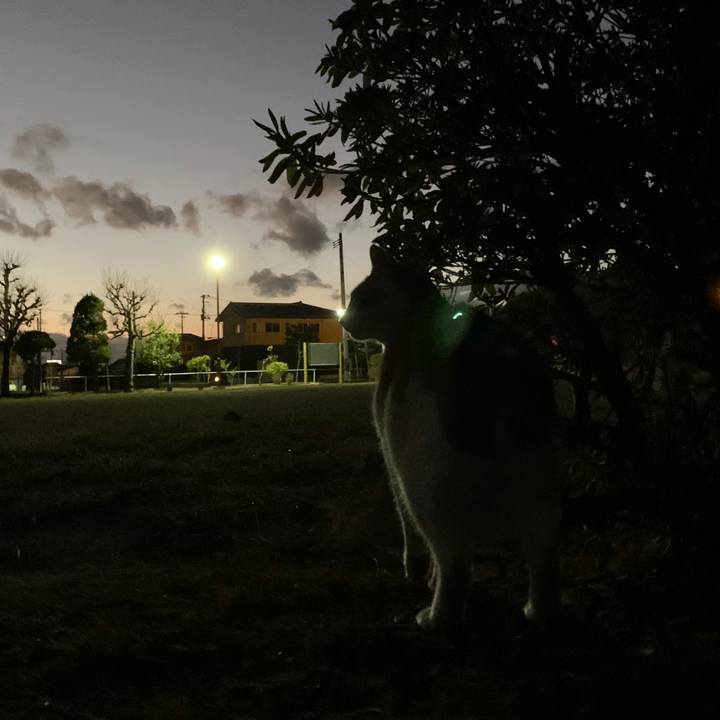 8829adf0 8a0e 46ff 8cbe d5e5dd318cd6 1575893063802