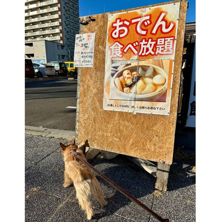 8829b847 15e6 4002 951f fde46db01fb4 1739593645888