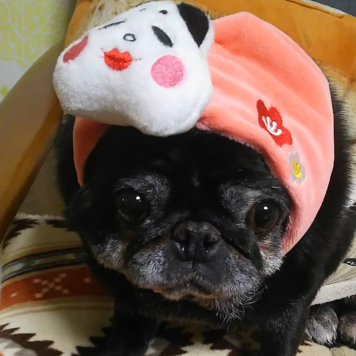 8829c7d0 ed13 4948 8f7c a1dd6702a0ea 1580666741462