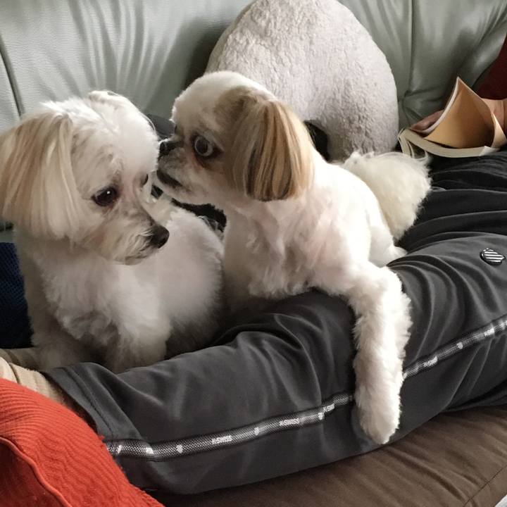 8829da49 8bf5 454f ba6a c50f01764c8f 1537750021395