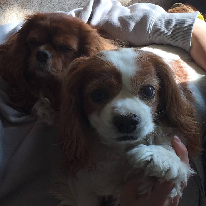 8829e1db 8be4 49f8 ac3b e784c98f773e 1528516698225